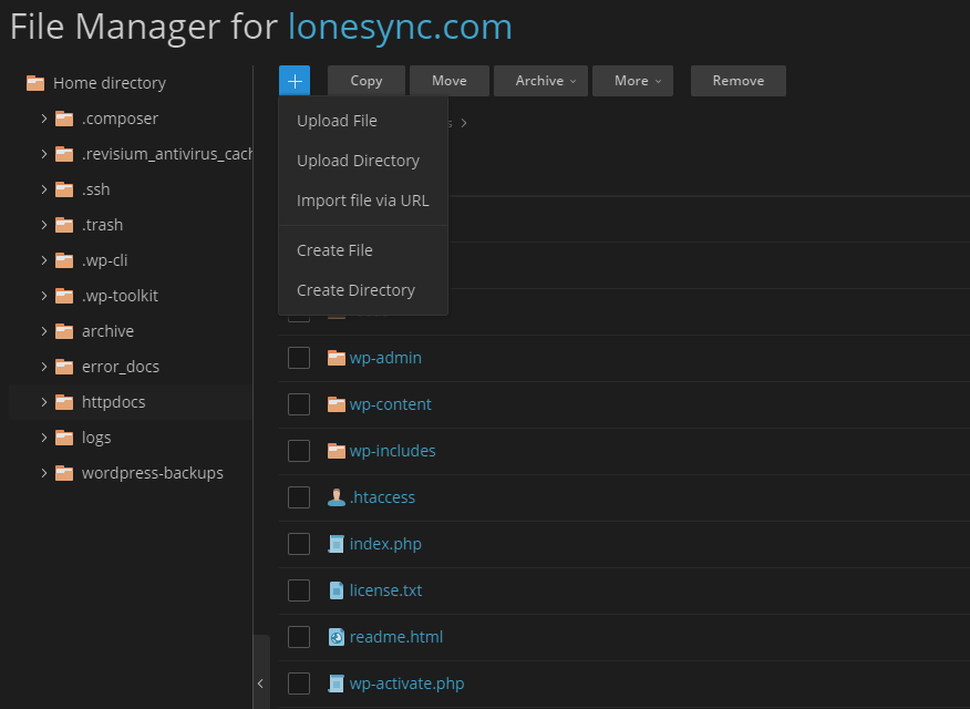 LoneSync Web Hosting - File Manager